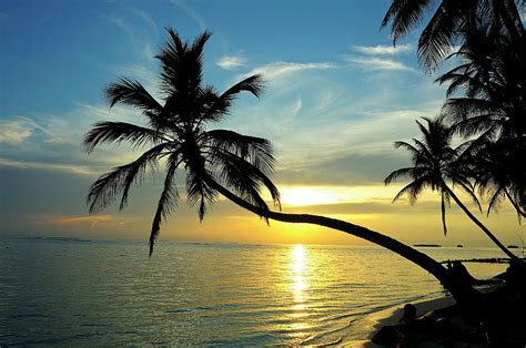 Sunrise Over Tropical Island Digital Art By Heeb Photos Fine Art America
