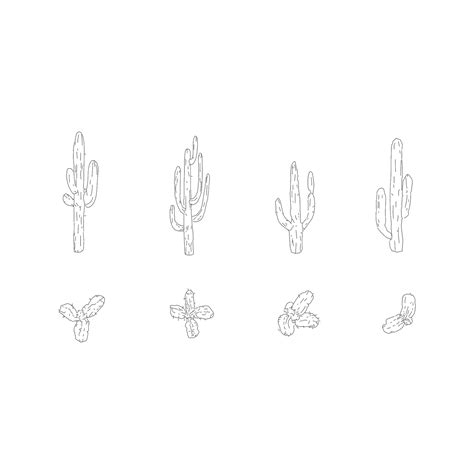Cactus And Desert Plants Dwg Cad Blocks In Plan And Elevation Cadnature