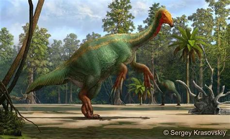 Designing The Therizinosaurus Gigantoraptor And Deinocheirus Requires
