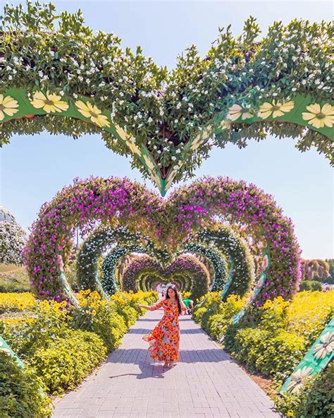 Dubai miracle garden, the world's largest flower garden, is back! 10 Most Instagrammable Places in Kuala Lumpur | Miracle ...
