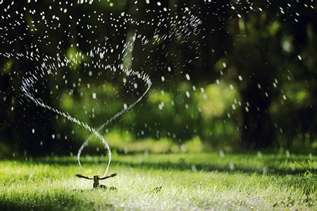 To water large sections of lawn—up to 4,500 square feet in a rectangular pattern—check out the melnor turbo oscillating sprinkler that allows the user to adjust both the width and the length. Are You Making These 5 Lawn Watering Mistakes?