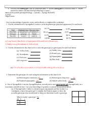 A tall head (t) is dominant to short (t). Spongebob Genetics Page 2 Answer Key + My PDF Collection 2021