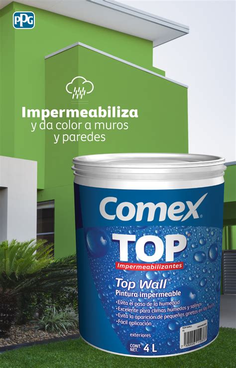 Introducir 62 Imagen Top Wall Humedad Extrema Comex Abzlocalmx