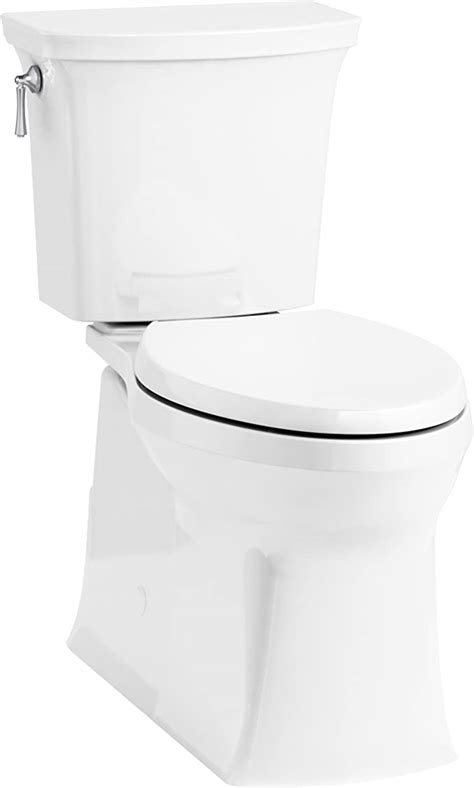 Best Flushing Toilet Reviews Most Powerful Picks In 2021