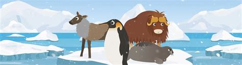 Marcopolo Arctic Download And Enjoy This Educational Game
