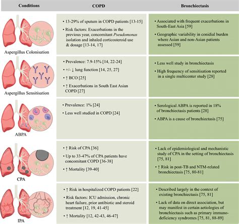 The Spectrum Of Aspergillus Associated Disease Observed In Chronic