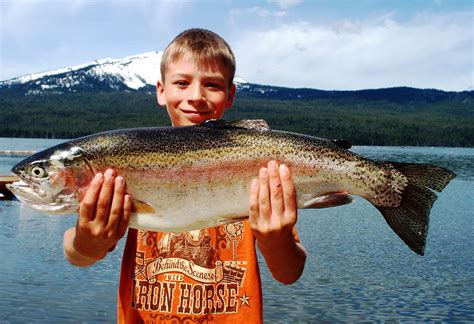 Great Kokanee Fishing Tips For Central Oregons Suttle Lake Diamond
