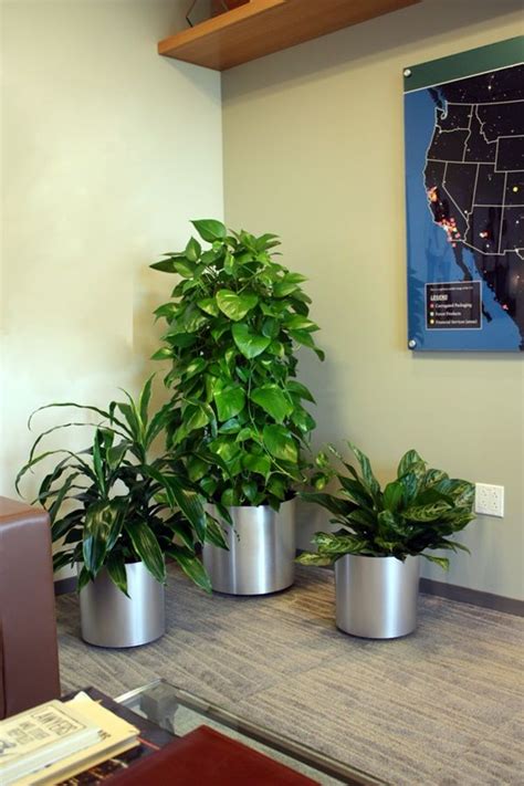 40 Creative And Fresh Office Plant Decoration Ideas Plant Decor