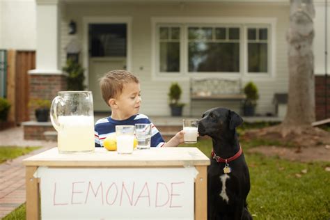 And strangely, the lemonade stand is technically illegal in most u.s. Jobs Kids Can Do to Earn Money
