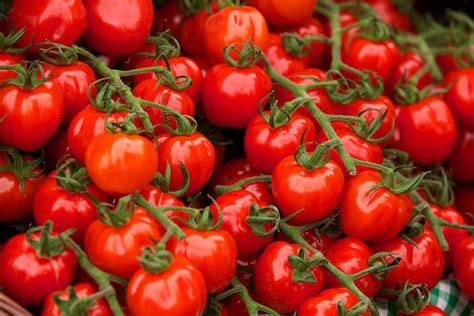 How To Grow Tomatoes Rhs Gardening