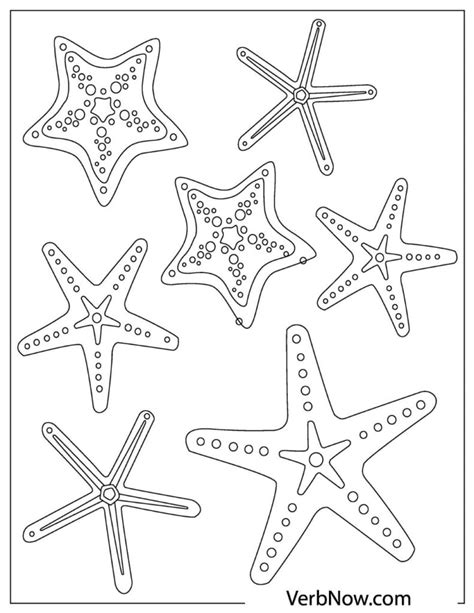 Free Starfish Coloring Pages For Download Printable Pdf Verbnow