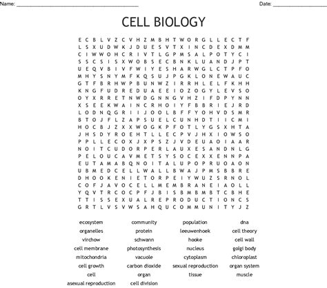 Plant cells also have cell walls and plastids, while animal cells do not. CELL BIOLOGY Word Search - WordMint