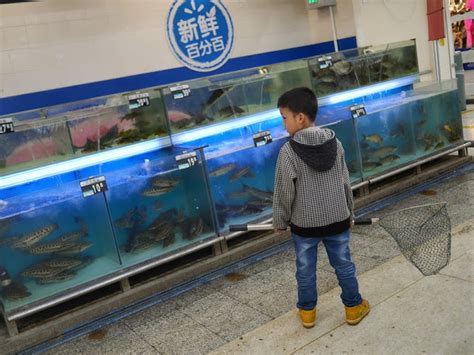 We recommend setting your monitor resolution to at least 1024 x 768u.s. turtle tanks walmart
