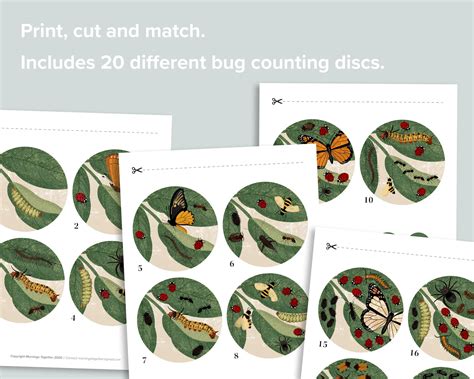 1 20 Bug Counting Activity Preschool Nature Busy Book Pages Etsy