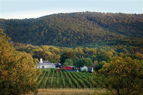 See What Happens When A Virginia Wine Club Takes A Drive Through The
