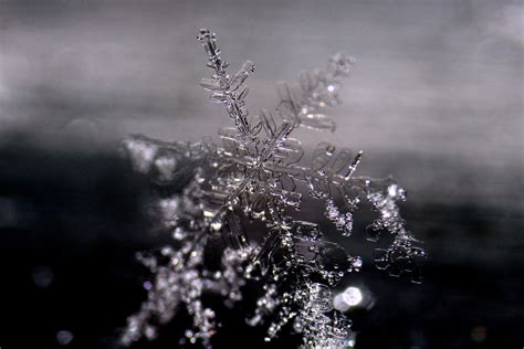 My First Snowflake By Moosplauze On Deviantart
