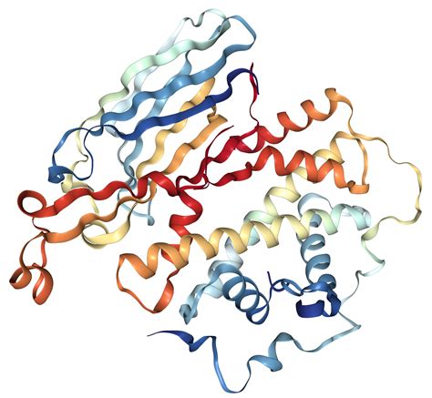 Histone H4 Protein Overview Sino Biological