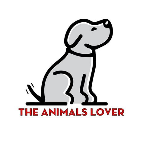 The Animals Lover