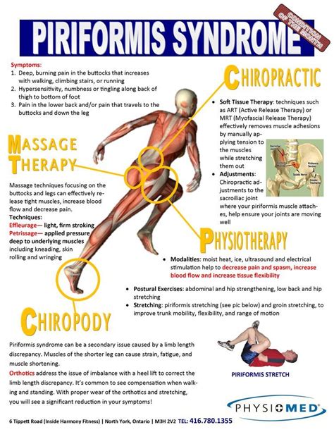 Piriformis Syndrome Massage Therapy Piriformis Muscle