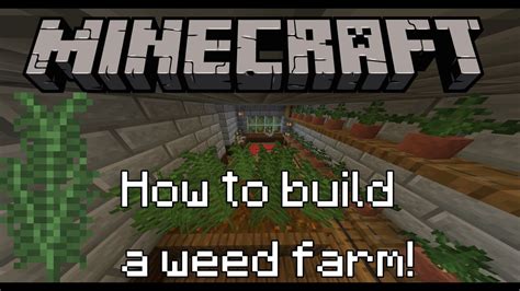 How To Build A Weed Farm In Minecraft Youtube