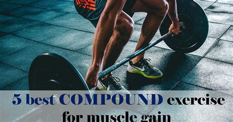 5 Best Compound Exercise For Muscle Gain