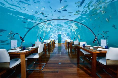 Restaurante Ithaa Undersea No Conrad Maldives Rangali Island Maldives