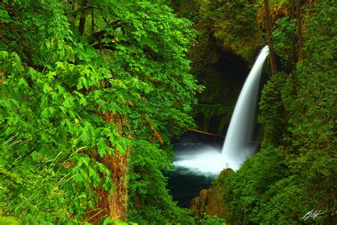C104 Metlako Falls Columbia River Gorge Oregon Randall J Hodges