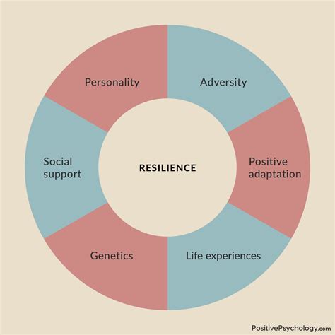 What Is Resilience And Why Is It Important To Bounce Back