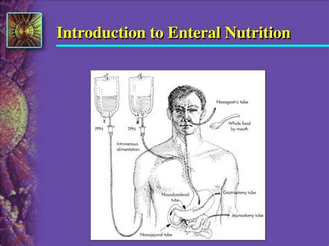 Ppt Introduction To Enteral Nutrition Powerpoint Presentation Free