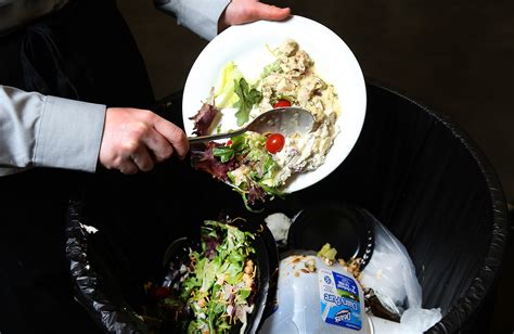 Food Waste Why Do Restaurants Still Throw Out Food Wikye