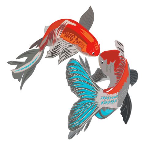 Gambar Ilustrasi Saudara Ikan Koi Vektor Ikan Merah Gelap Bersama
