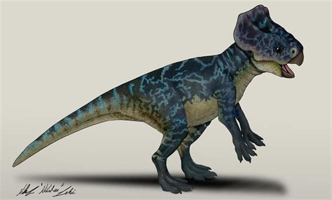 Jurassic World Dominion Microceratus Variant 1 By Nikorex On Deviantart