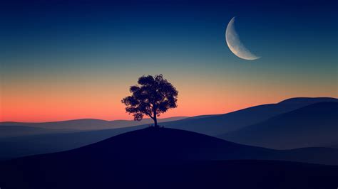 Available in hd, 4k resolutions for desktop & mobile phones. Tree Alone Dark Evening 4K HD Wallpapers | HD Wallpapers ...