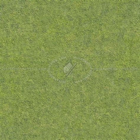 Green Grass Texture Seamless 12977