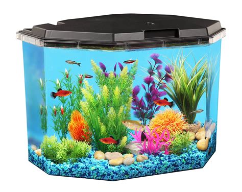 55 gallon fish tank guide (best fish, setup ideas, equipment and more). Corner Fish Tanks & Aquariums | Pentagon & Bow Front ...