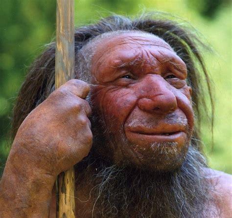 Finding Suggests New Insight Into Neanderthal Behavior As Compared To