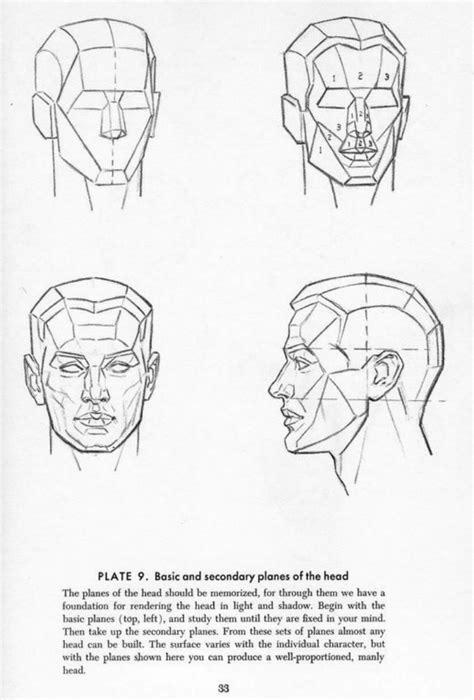 Drawing The Head And Hands Andrew Loomis Drawing Heads Andrew