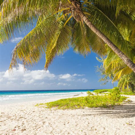 Cheap Flights To Barbados The Best Deals Ng