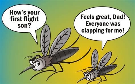 40 Bug Jokes That Flies Into Your Funnybone Livin3
