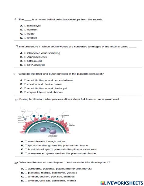 Reproductive Systems Interactive Worksheet