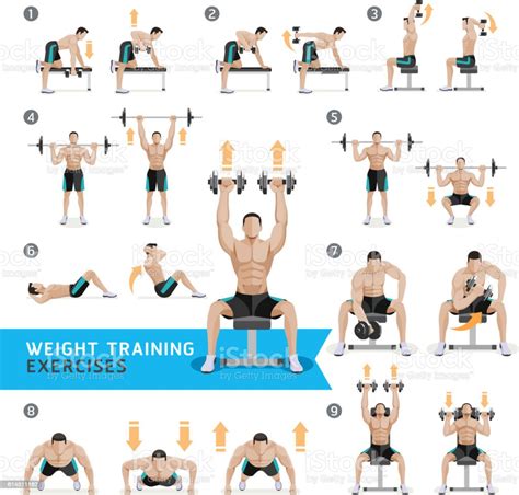 Dumbbell Exercises And Workouts Weight Training Stock Illustration