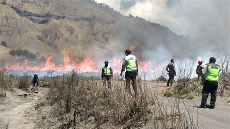 Foto Kebakaran Di Gunung Bromo