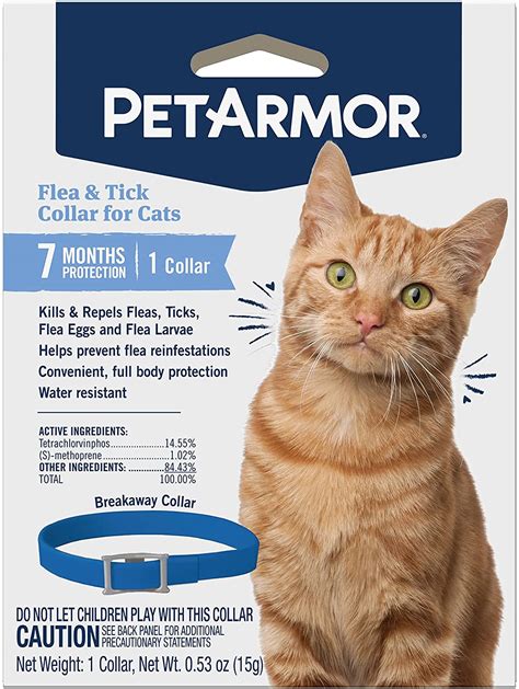 The Best Flea Collars For Cats Pumpkin®
