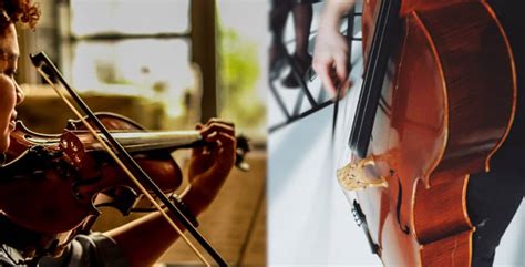 Double Bass Vs Violin Every Difference Explained Bassox