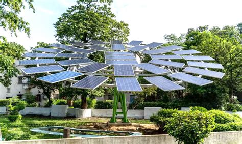 India Develops Worlds Largest Solar Tree Environment Watch