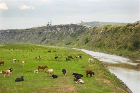 Moldova is a small country nestled between romania and ukraine. Quanti abitanti ci sono in Moldavia - Censimento della Popolazione