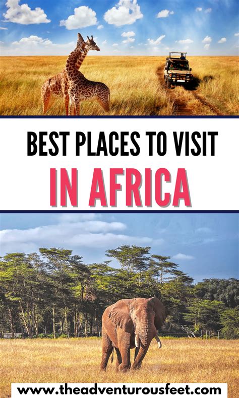 Planning To Go On An African Safari But Dont Know Where To Go Here Are