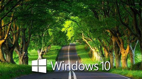 Windows 10 Green Wallpaper 71 Images