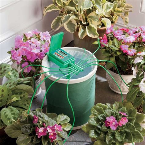 Automatic Watering System For Outdoor Potted Plants Homes And Apartments For Rent