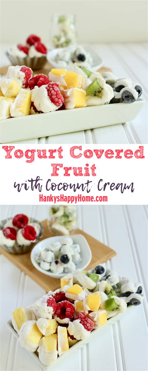 Yogurt Covered Fruit Hankys Happy Home